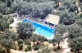 Arial view of landscape around the pool